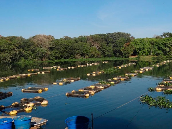 Esep Aqua Ambiental - Esep Aqua Ambiental